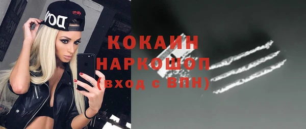 твердый Абаза