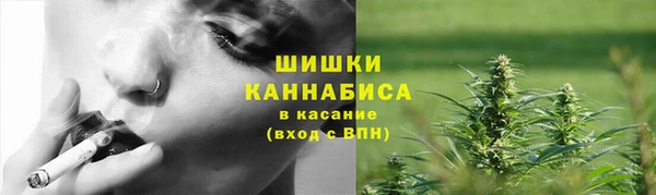 твердый Абаза