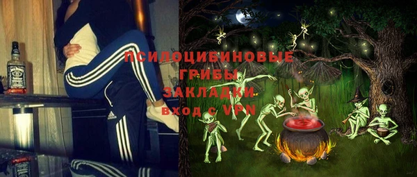 твердый Абаза
