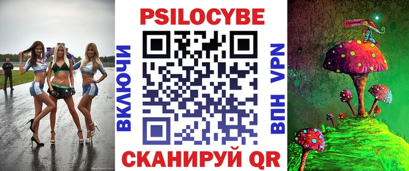 где купить   Юрга  Псилоцибиновые грибы Psilocybe 