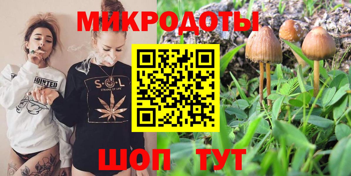 Галлюциногенные грибы MAGIC MUSHROOMS Юрга